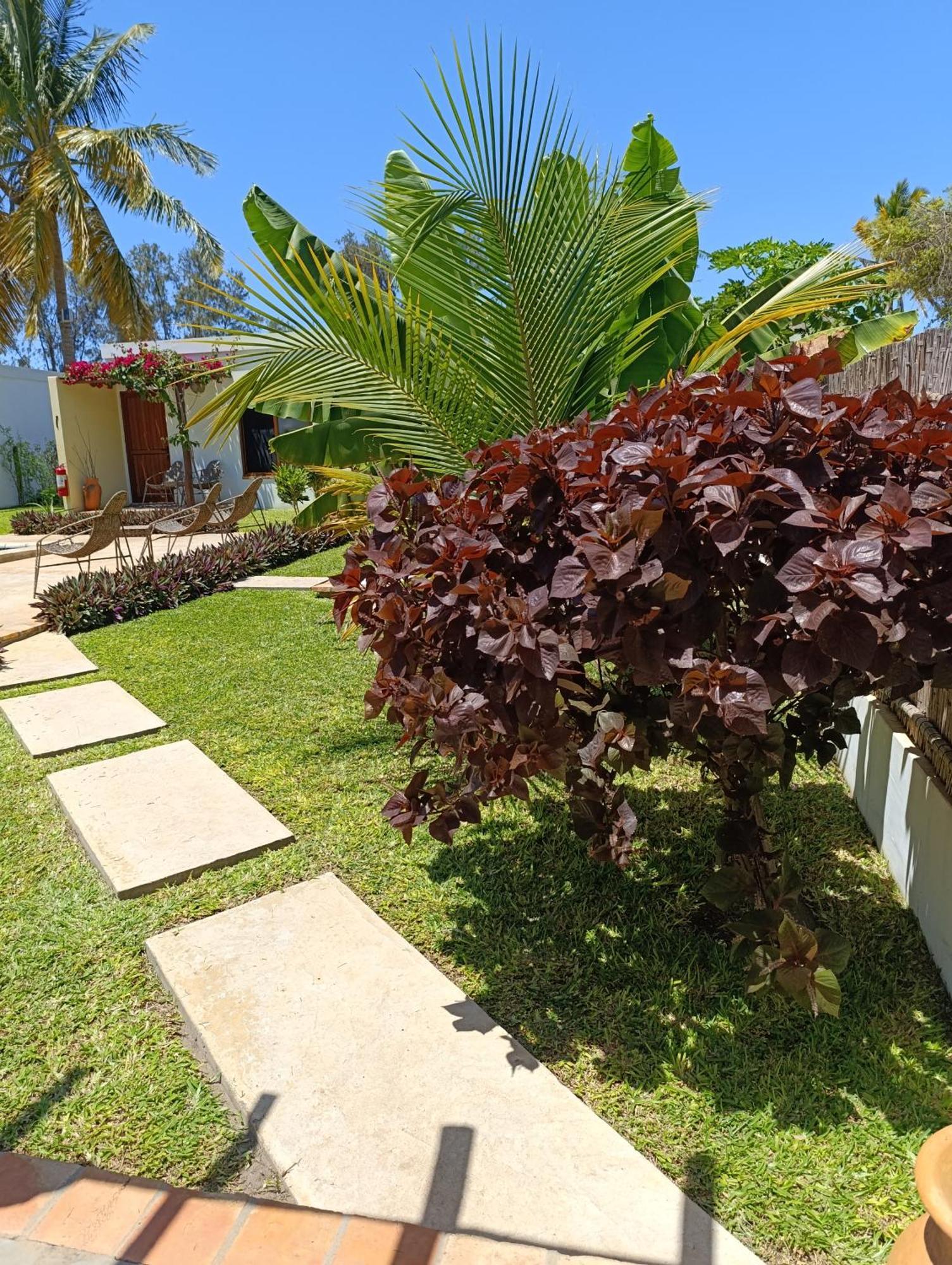 Telvina Beach Lodge Vilanculos Zewnętrze zdjęcie